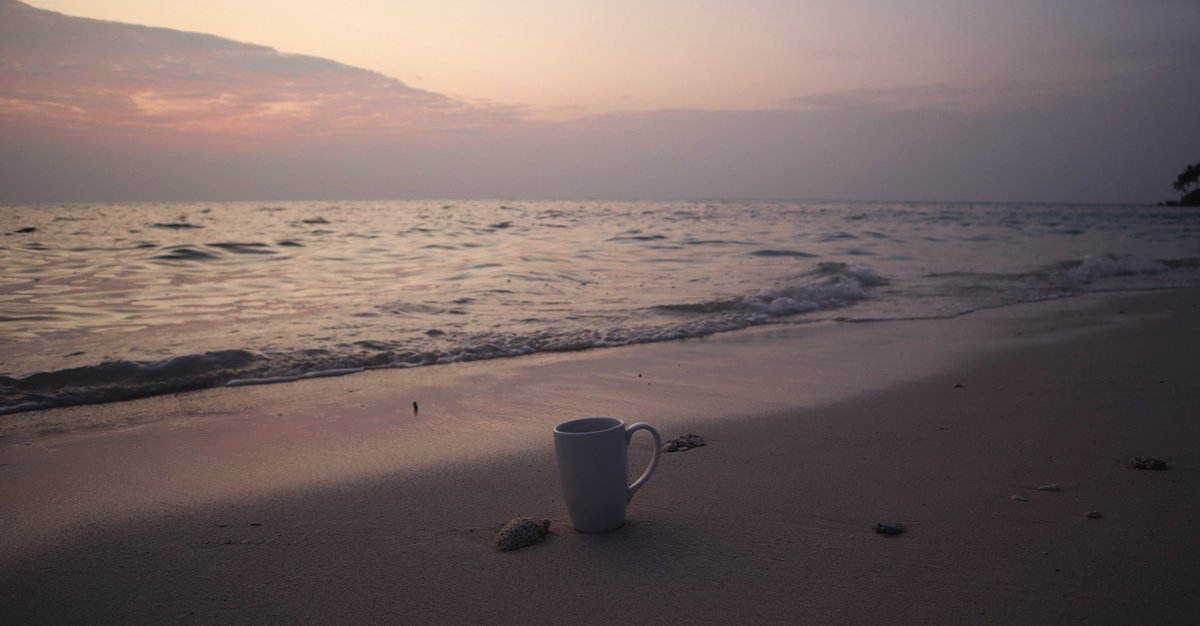 Morning tea with corals...