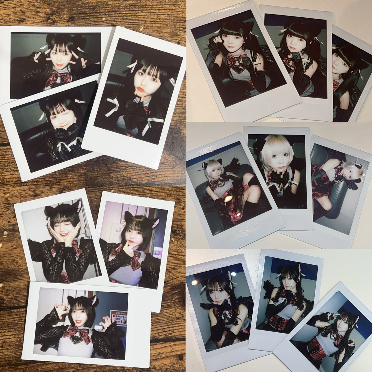 1つ足りない賽は投げられた【ひとさい】🎲 on X: 1つ足りない賽は投げられた【ひとさい】🎲 on X: