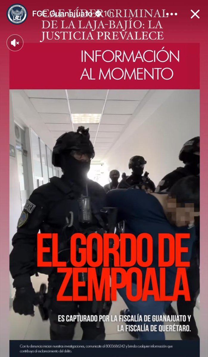 NewsSanmiguel's tweet photo. #REVERSA Después de anunciar con bombo y platillos la #Fiscalía de #Guanajuato sobre la aprensión de Leonel N alias “El #GordodeZempoala”, líder del Cártel de #SantaRosadeLima, ahora anuncian que siempre no.
Un juez lo dejó libre por falta de elementos🥴
#Guanajuato #Justicia https://t.co/PCEOcdGf3M
