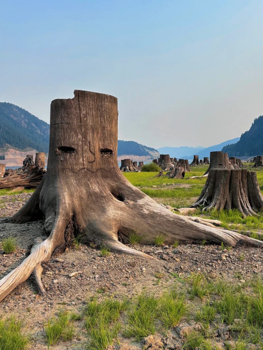 rubywcw's tweet image. 