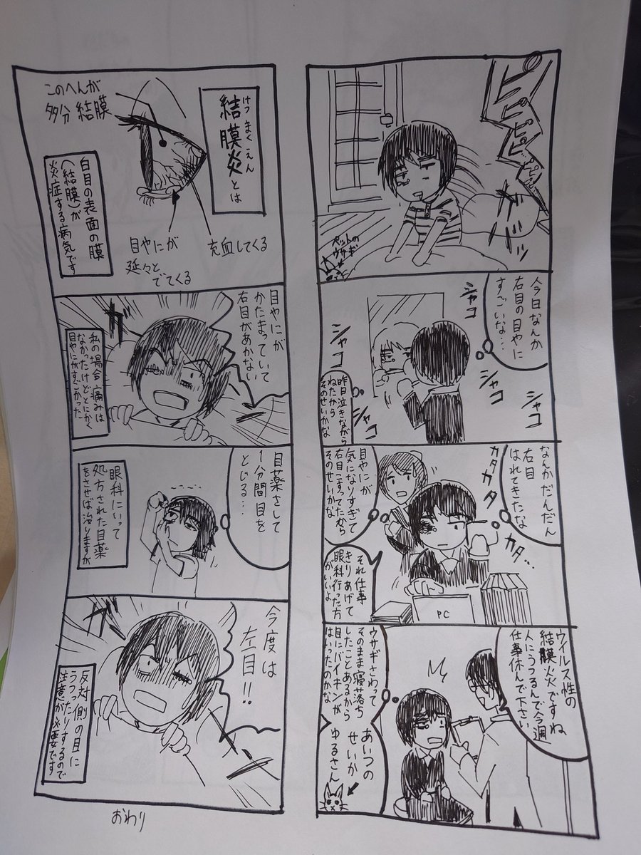 結膜炎を患った時に描いた漫画が出てきた 