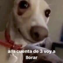 Hace tanto no entraba a esta cuenta y no me dí cuenta que se eliminaron las notas que le hacía a hyunjin y solo quedaron 8 como de las 30 que tenía hdksjd me quiero mwordear