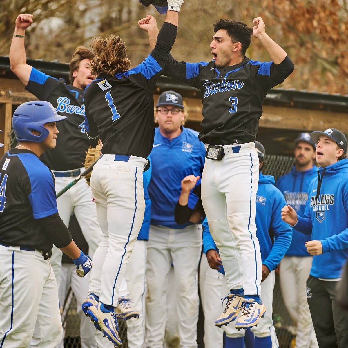 Barton College Athletics tweet media