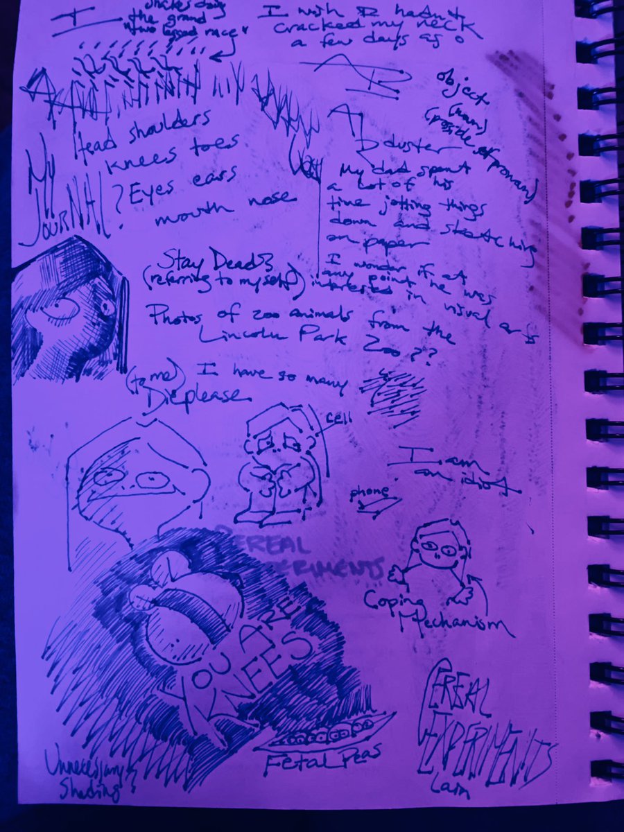 CarriecoreCC's tweet photo. my journal from when i experienced psychosis for the first time. 👁️👁️ https://t.co/shV3MCuDEm