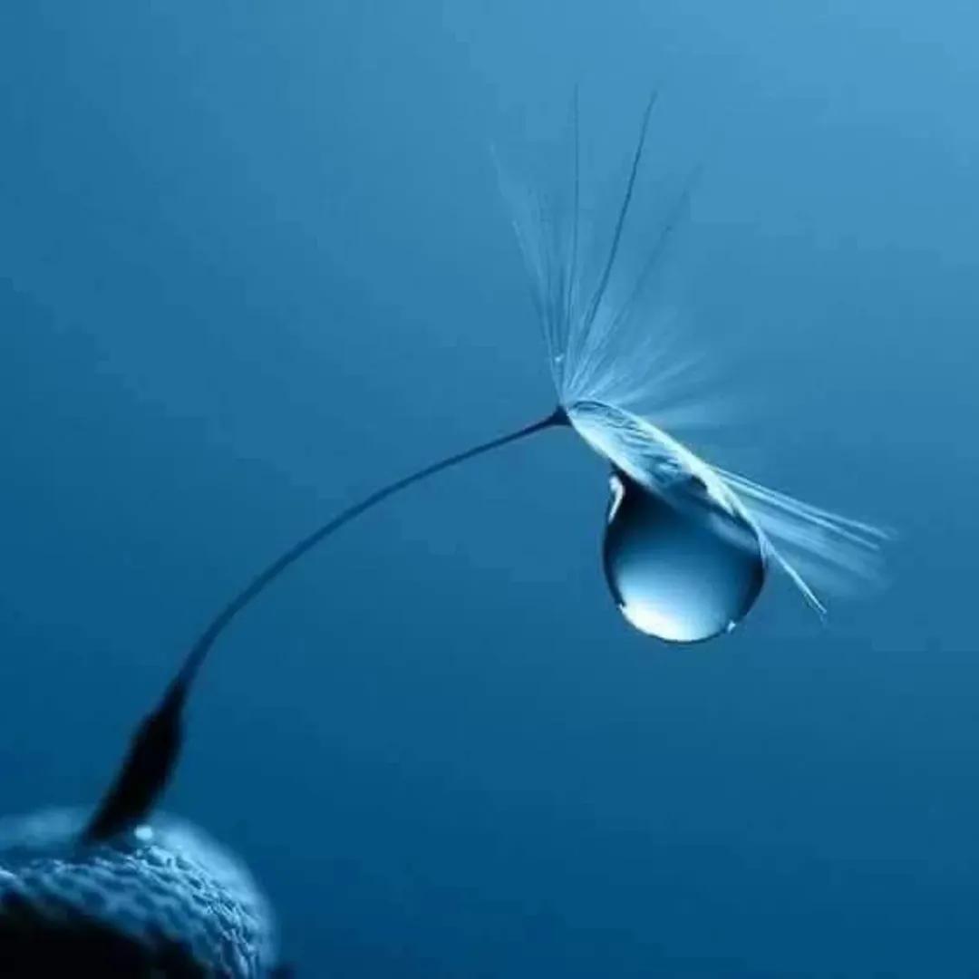 Dev (@jaidevgurjar03) on Twitter photo 