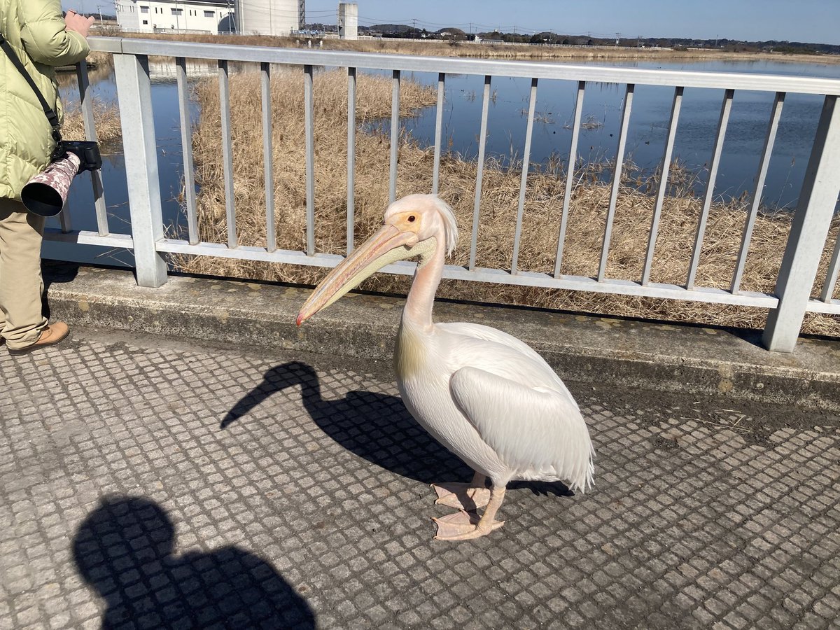 Dev (@jaidevgurjar03) on Twitter photo 