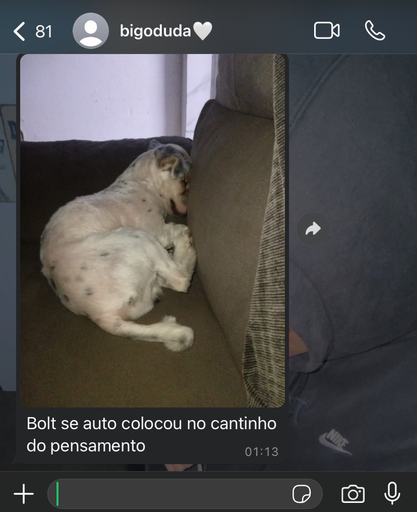 everybody hates hates bea (@4realbea_) on Twitter photo 