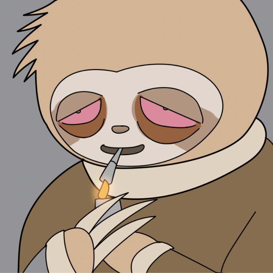 sleepyguyonsol's tweet photo. Mama Sloth told me not to... but she's napping right now. https://t.co/V3gQBRipDv