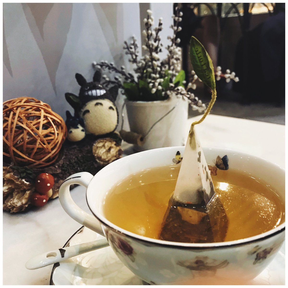 Erick Fitzpatrick (@efitz44) on Twitter photo 