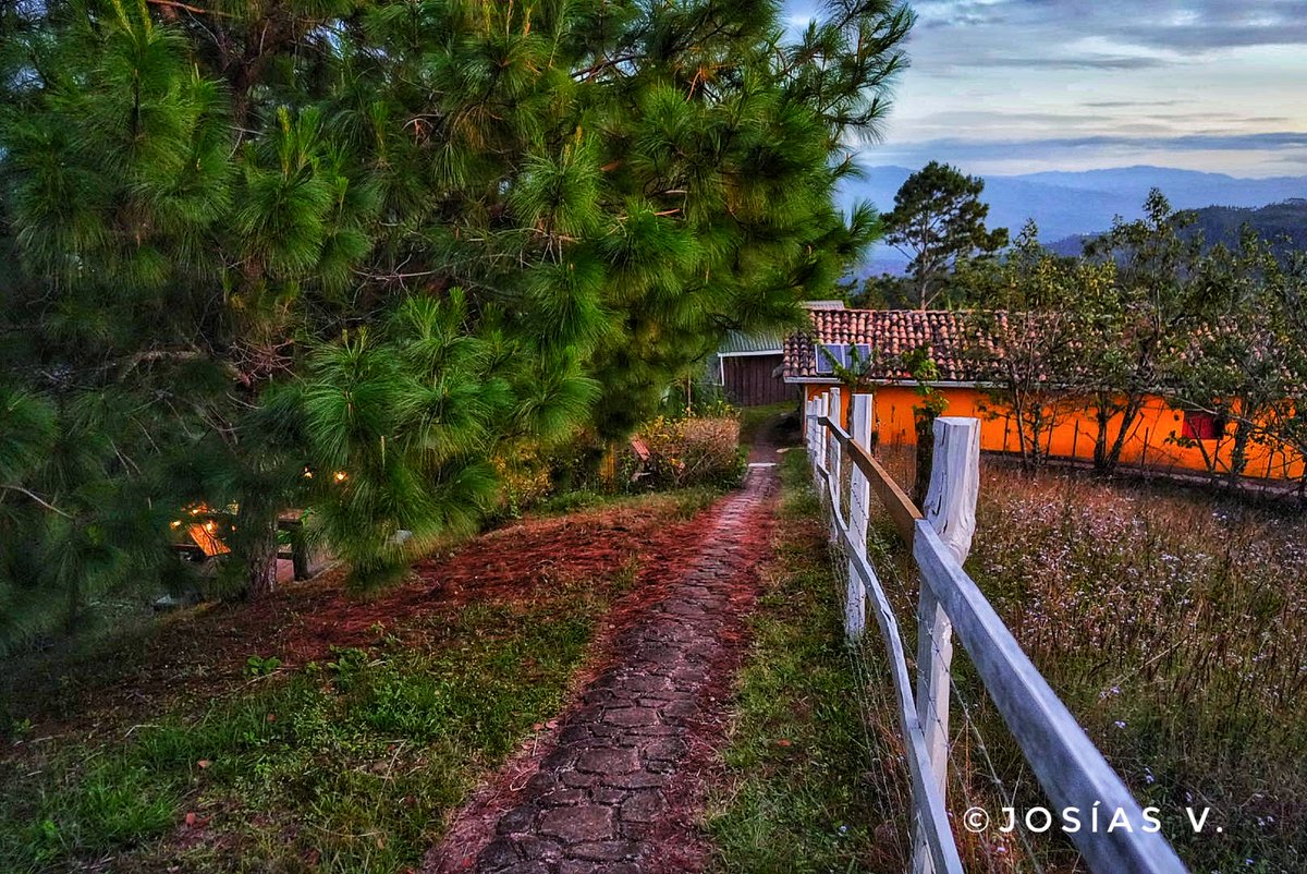 ValleJosias's tweet photo. 📷📷📷📷📷, #naturephotography, #nature, #moments, #photographytime https://t.co/9MeRvRljp3