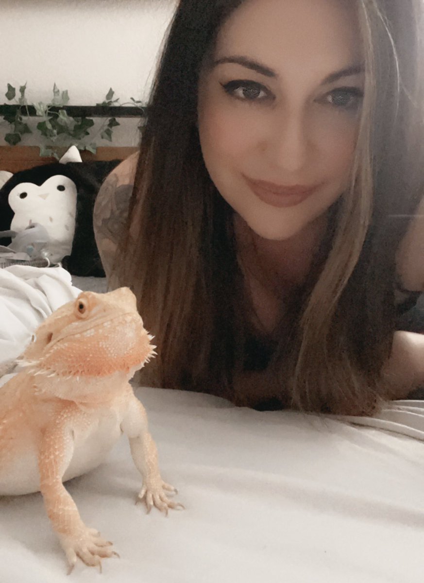 Drea7x's tweet photo. Happy 31st birthday to a fellow bearded dragon owner, @Sodapoppintv 🦎🧡 https://t.co/73kQvv7H8h