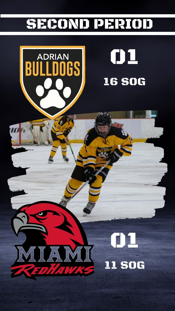 Adrian College WD2 ACHA Hockey (@adrianwd2hockey) on Twitter photo 
