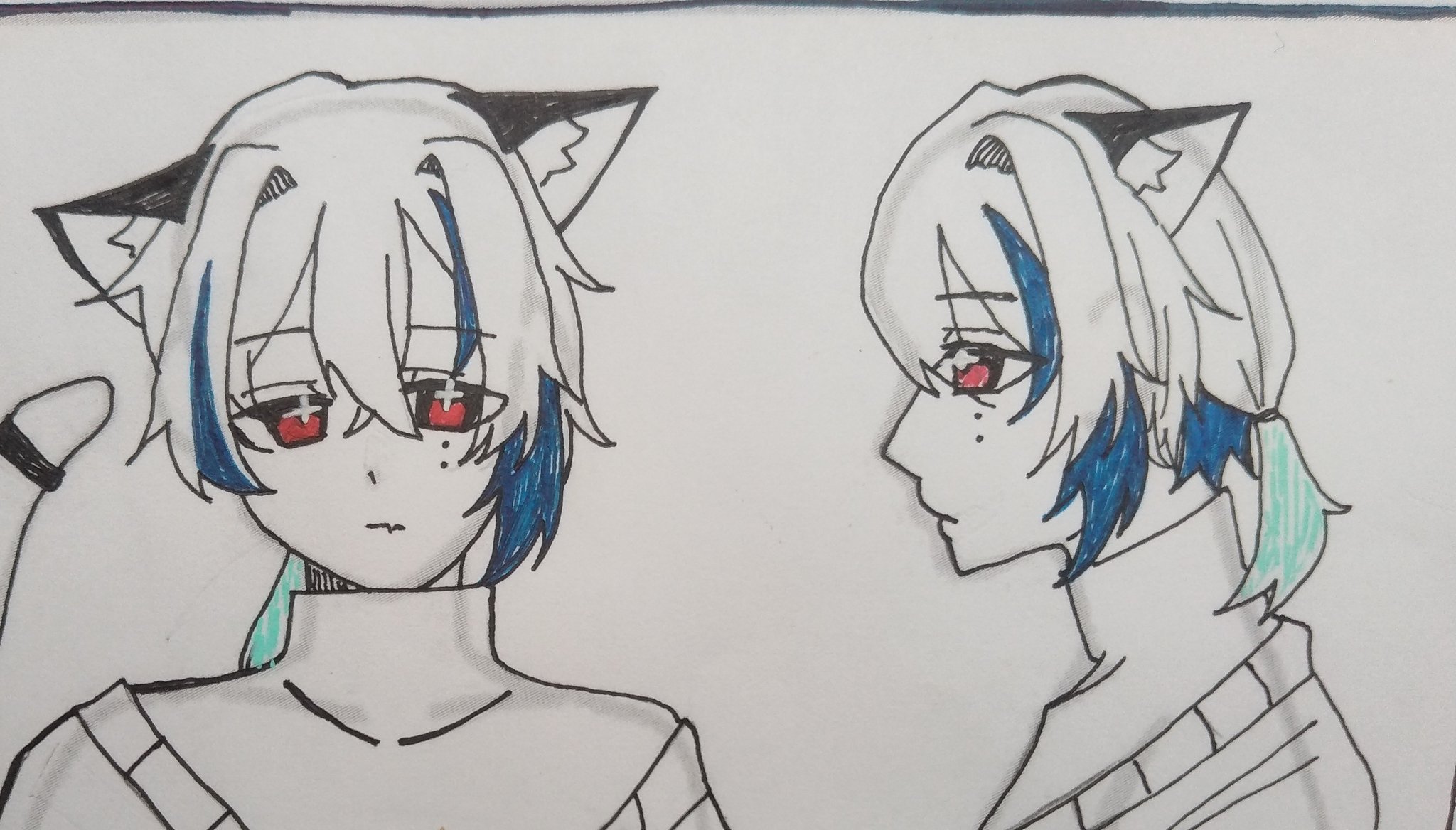 【即発送可能】 @暇人 👑黒猫様🐾 (@Kurro_Samma1226) X / ウィッグ・エクステ