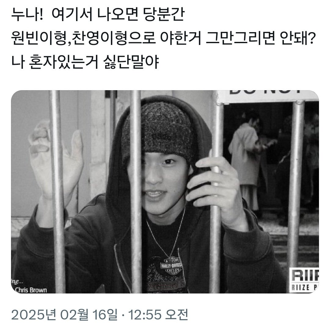 할망고 tweet media