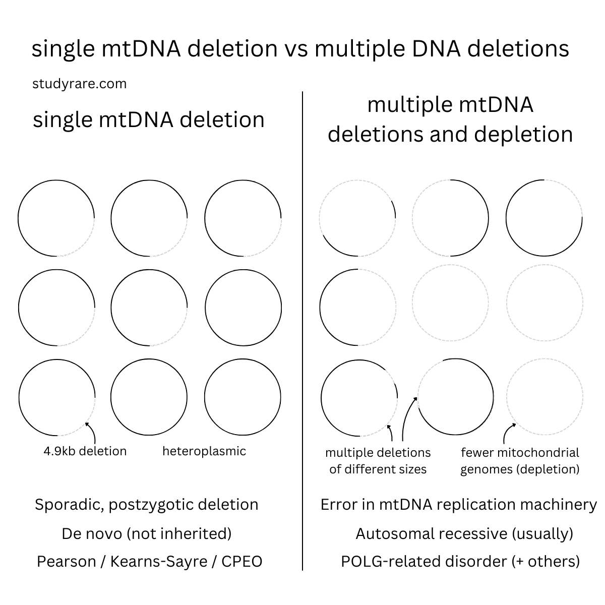 StudyRare 🧬 tweet media
