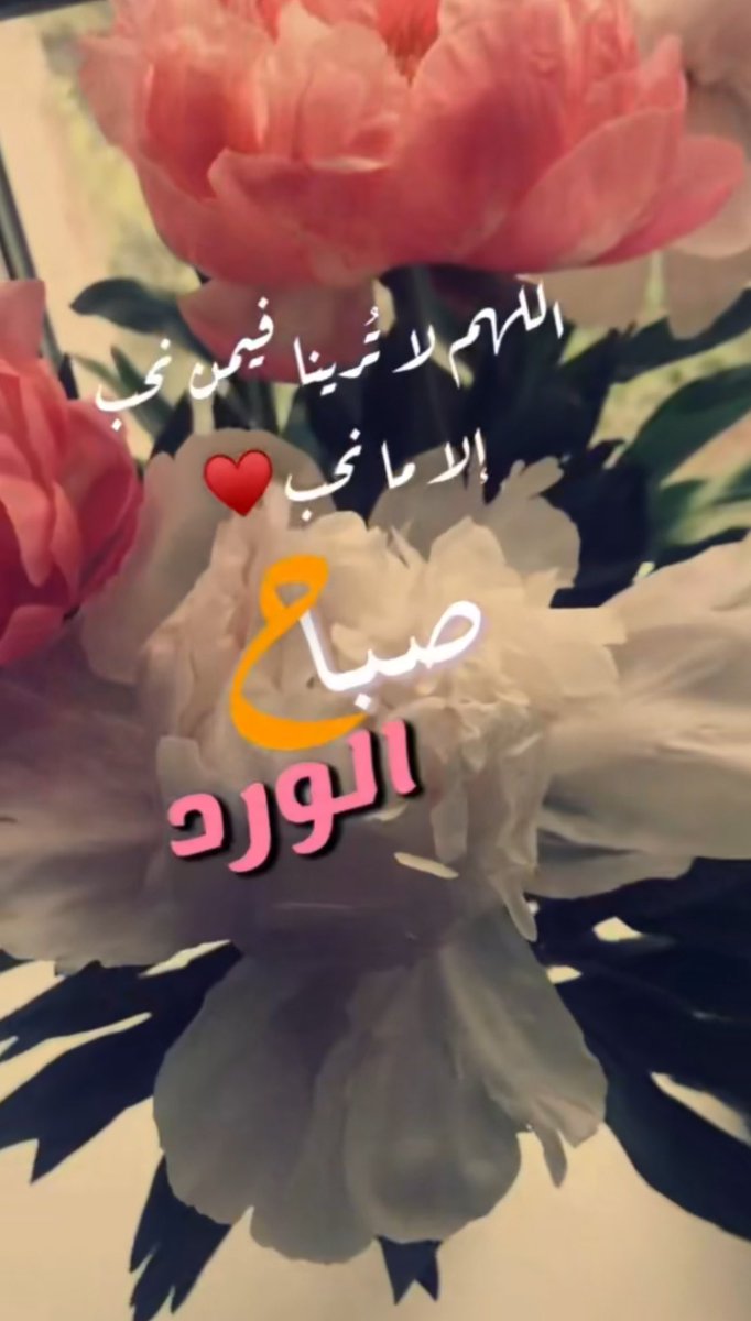 °°↓:↴ "✿ٌ ⸀ 🎼 ❃ ˺ ♡

لطف الكلمات يذيب الخلاف ، 
لطف الإهتمام يخلق الثقه ، 
لطف العطاء يخلق الحب ، 
فسلام للذين يتركون بنا أشياء رائعه
تجعلنا نبتسم حين تبدو الحياة صعبه 🕊️♡

صباح الخير 🤍
#أميرةالحرف࿐✿∴