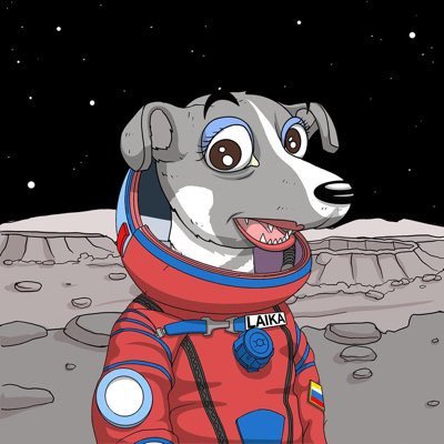 Mike Mongo 🖼️🐐 #IAmAI tweet media