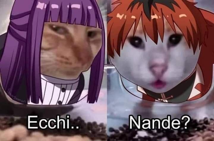 HIM'EL 🗡️ 勇者 #ThankYouMiura tweet media