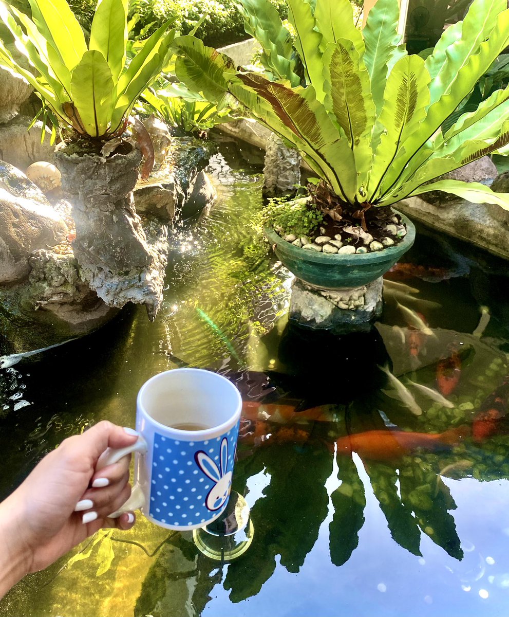 xtinediba's tweet photo. ☕️☕️☕️ https://t.co/kJQIUTLx5u