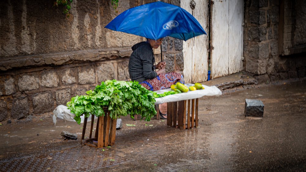 JosefGasyPhoto's tweet photo. During the rainy season, when the price of rice rises, so does the strength of the Malagasy people. Through every hardship, they stand tallโenduring, hoping, and holding onto the rhythm of life.
#photography #ResilienceInRain #StrengthAndHope #UnbreakableSouls #HeartOfThePeople https://t.co/N5Go64mrSW