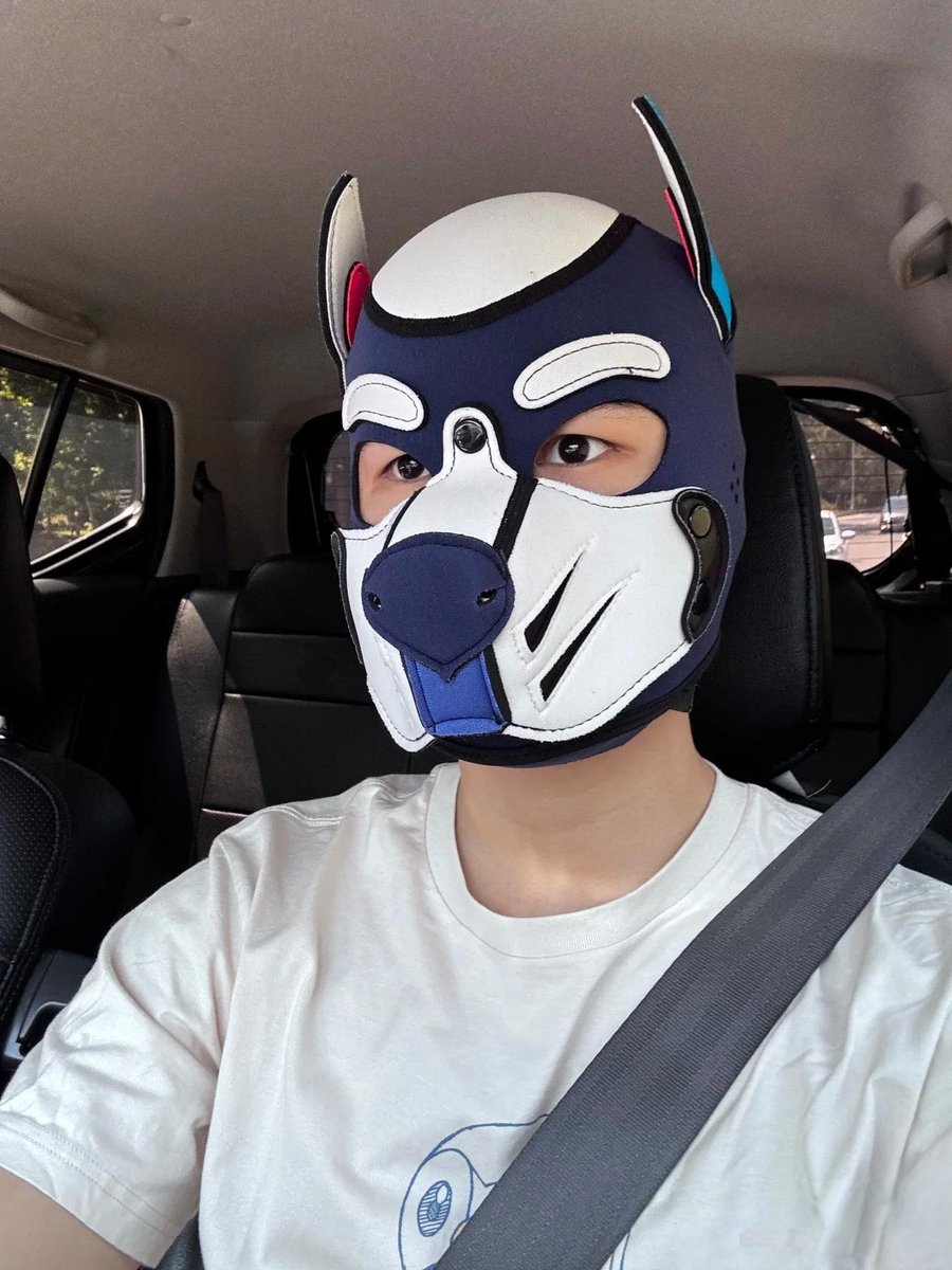 ～遛狗～缺1m～ #1m0s #犬 #野裸 #天体暴露 #暴露 #狗狗與主人