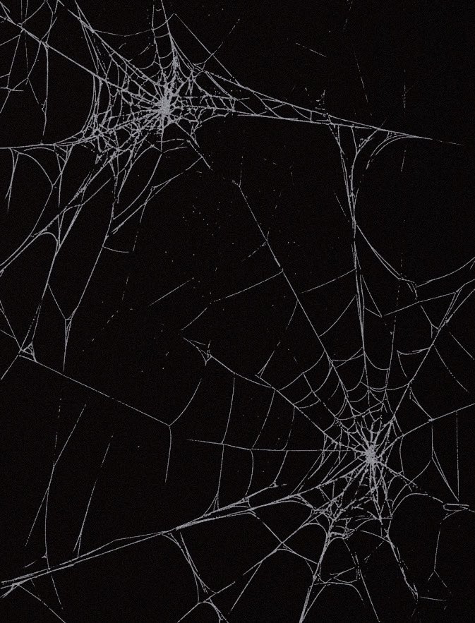 spdrwbs's tweet image. ⠀ 
⠀ 
⠀       “ 𝐝𝐨𝐧’𝐭 𝑚𝑒𝑠𝑠 𝒘𝒊𝒕𝒉 𝑡ℎ𝑒 𝐚𝐦𝐚𝐳𝐢𝐧𝐠
                    ——  𝐒𝐏𝐈𝐃𝐄𝐑-𝐌𝐀𝐍 .ᐟ ”

⠀