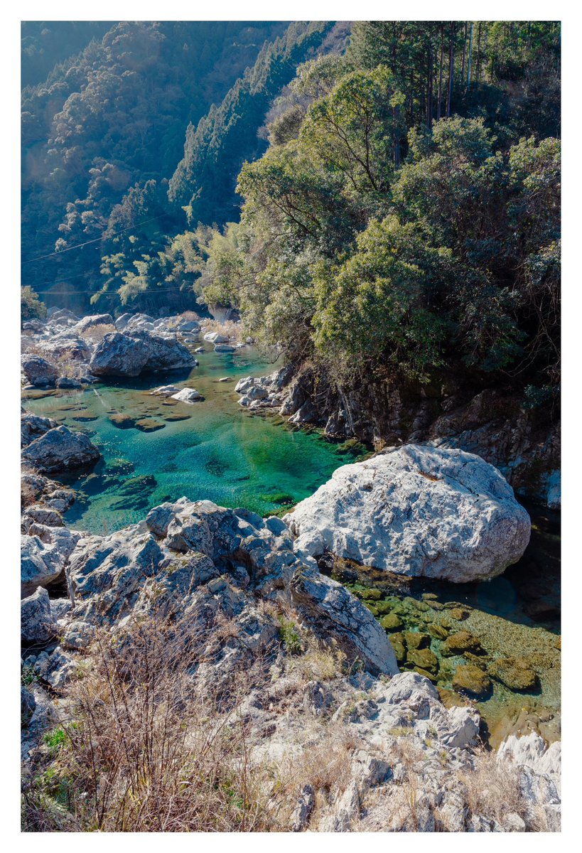 鳶の目玉 (@wnjjv7t00u89081) on Twitter photo 