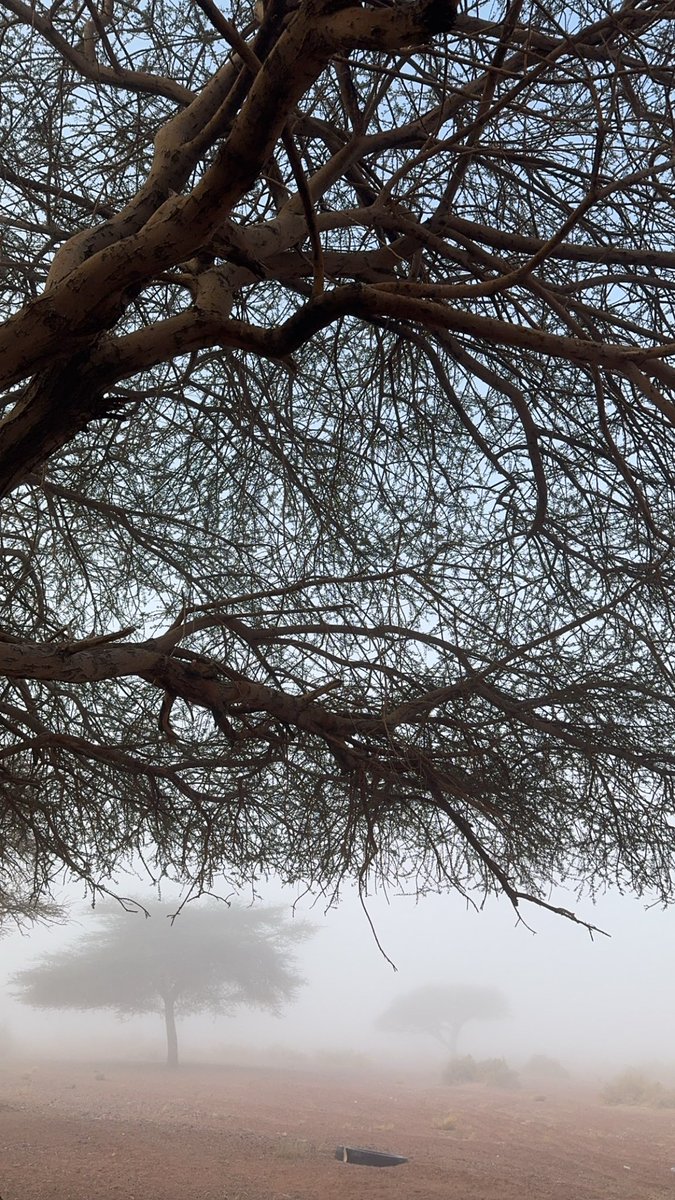 A.10🥈 tweet media