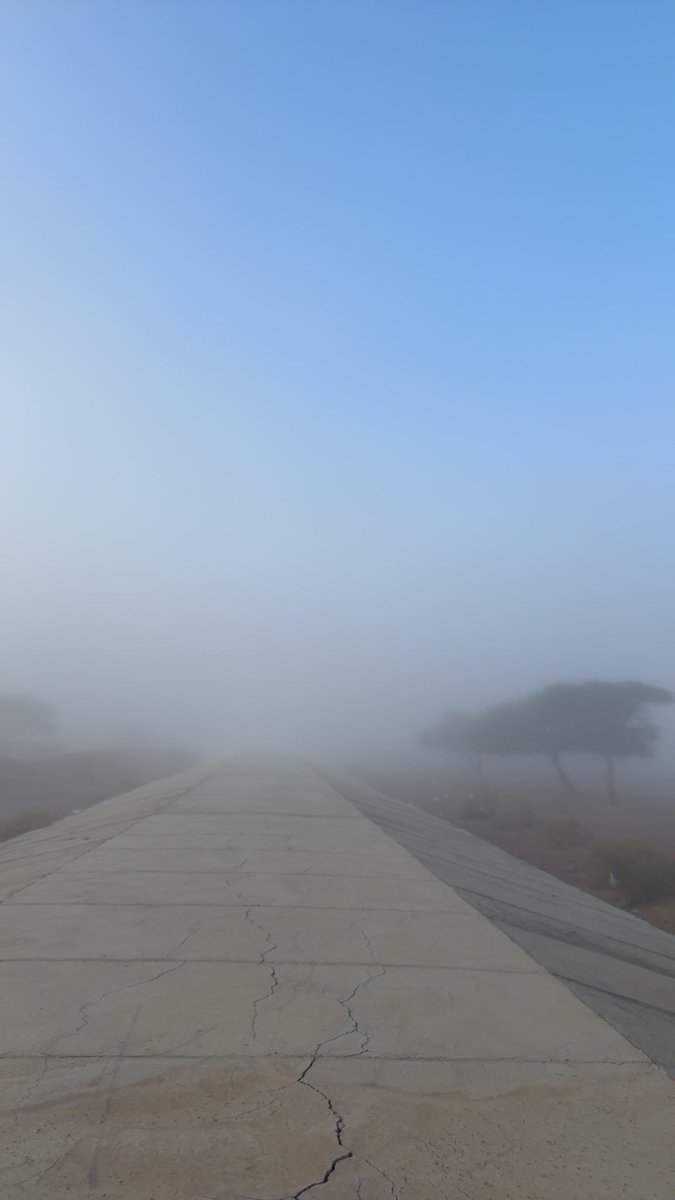 A.10🥈 tweet media