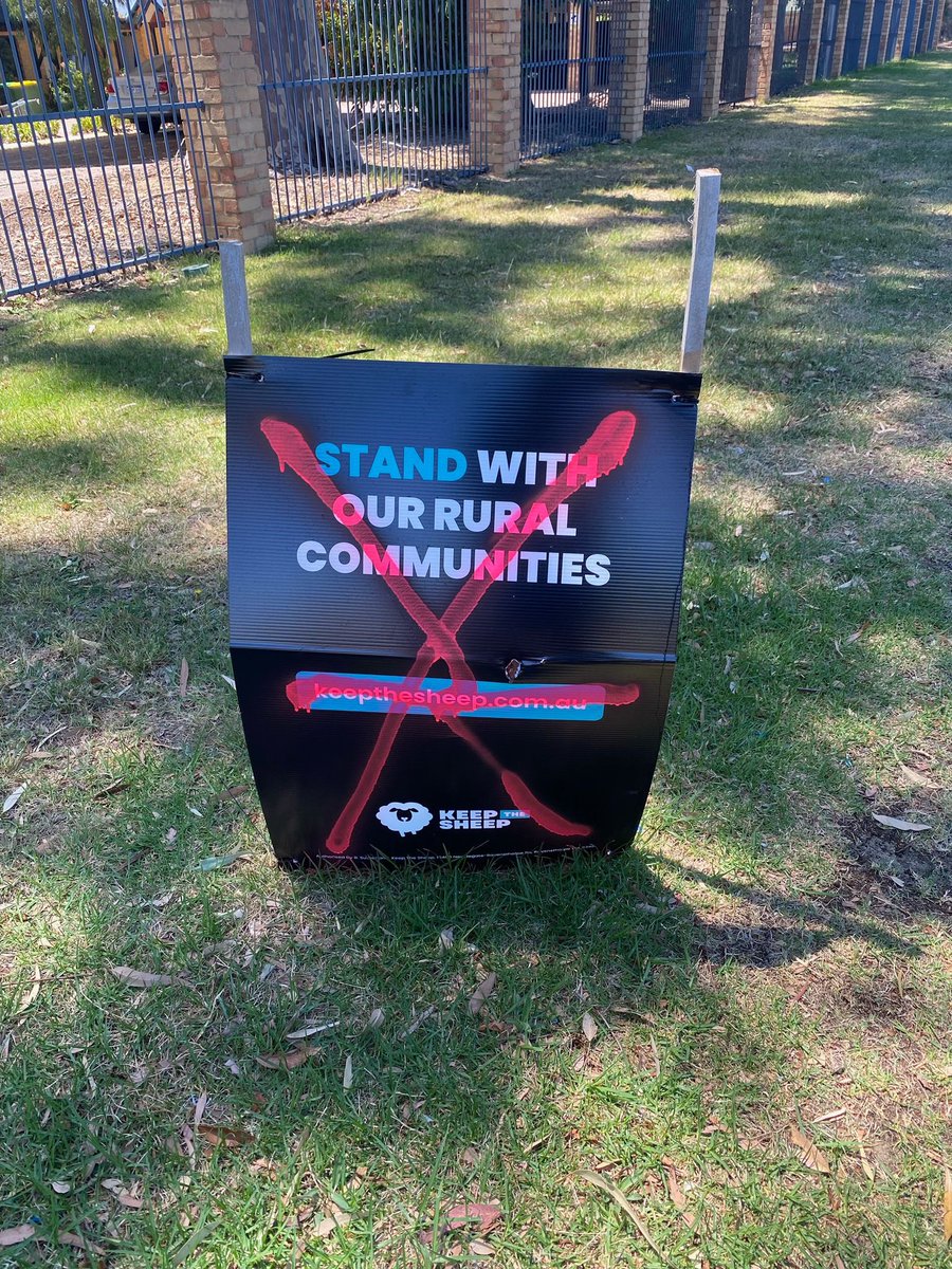 KeepTheSheep tweet media