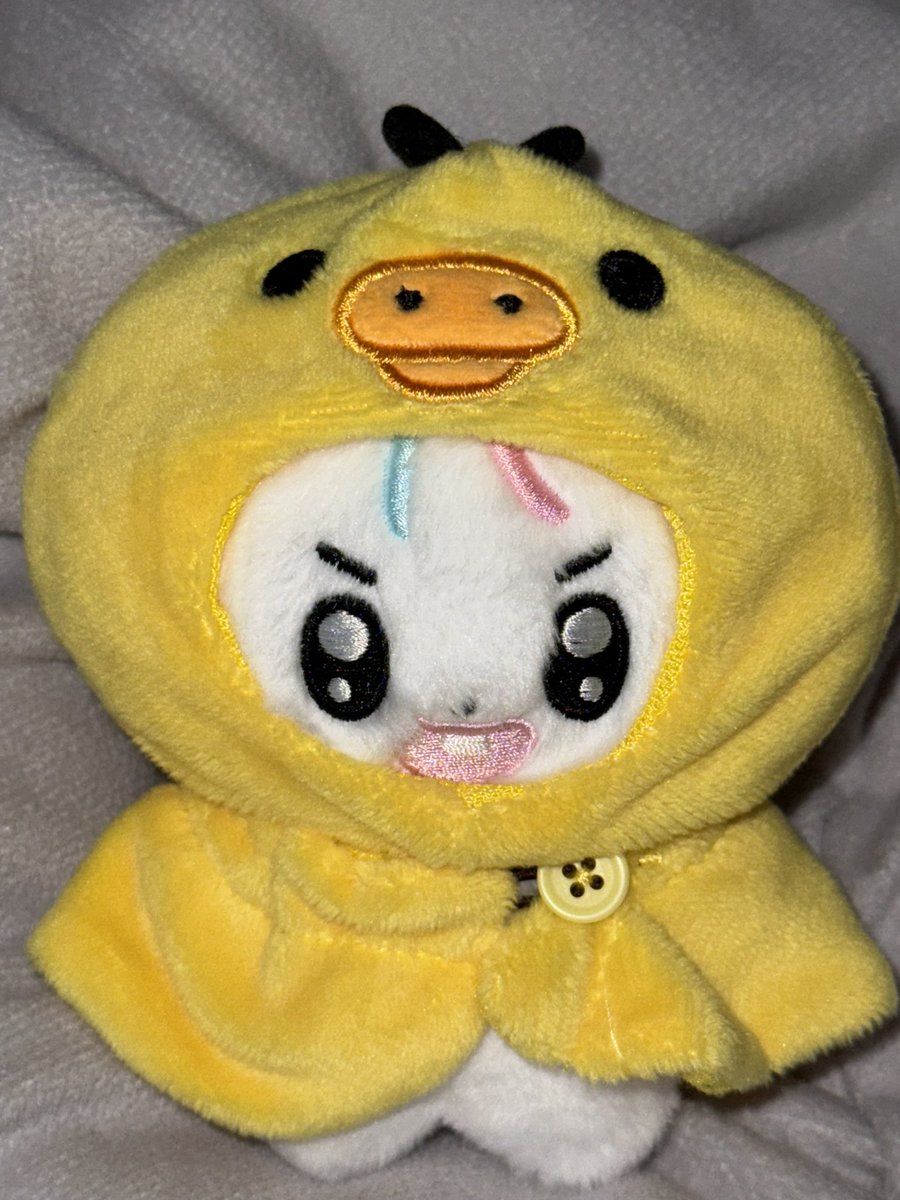 offonplay's tweet image. 어느 온티즈를 고를까나 렛미츄즈원 🐶🐾

#온티즈의_견주가_되 
#온동네방네_온티즈