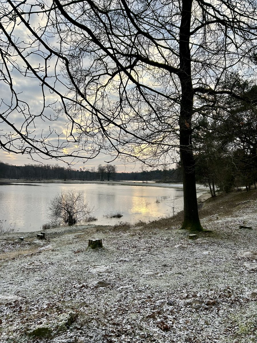 reiniervanloo's tweet photo. Zonsopgang bij Dorst (NB) ๐
#surae #boswachterij #leemputten https://t.co/288i69BZEs