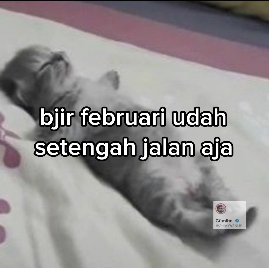 Gümiho. (@ohmyv3nus) on Twitter photo 