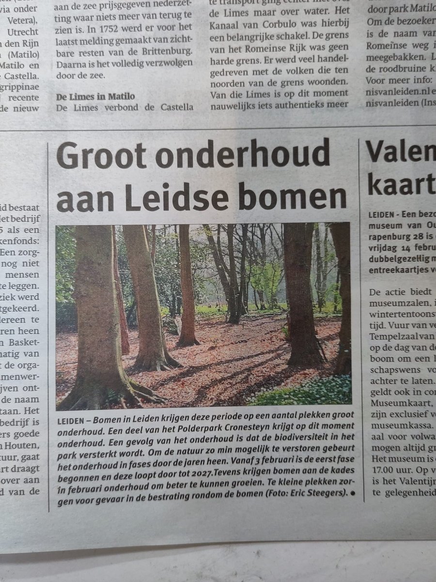 ‘Groot onderhoud aan Leidse bomen’; in februari 2025. De Bomenbond Rijnland vindt de communicatie over de beheerkap in polderpark Cronesteyn vanuit de gemeente #Leiden niet zo helder. Dat hebben we de gemeente eerder ook laten weten:.

 bomenbondrijnland.nl/beheerkap-het-…