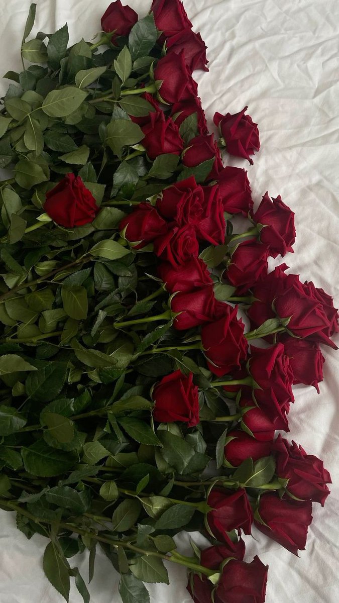 Flowerland (@flloverland) on Twitter photo 