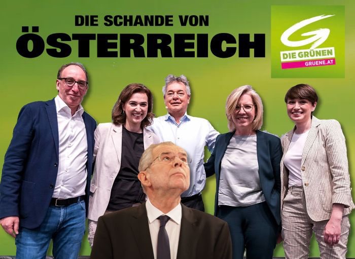 MaurerEwald's tweet image. Grüninne  Hereinwinker🤮
