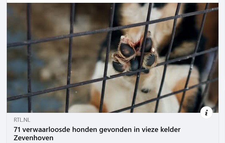 71 verwaarloosde honden gevonden in vieze kelder Zevenhoven