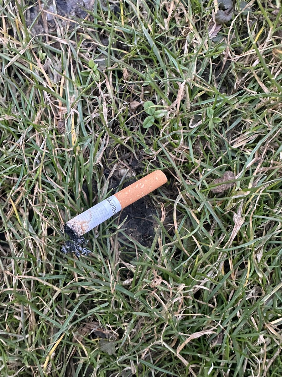 jerri_nft's tweet photo. Itโs Sunday #touchgrass #touchtree get some nature nurture time in get regenerated for the week ahead. And if you see them #touchbutt https://t.co/7QGMzTuoUJ