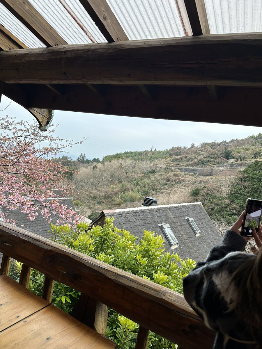 yumatan2's tweet photo. みんな久しぶりすぎて生きてるかわからないけど
とりあえず旅行来たよ https://t.co/CRMcP9Olng