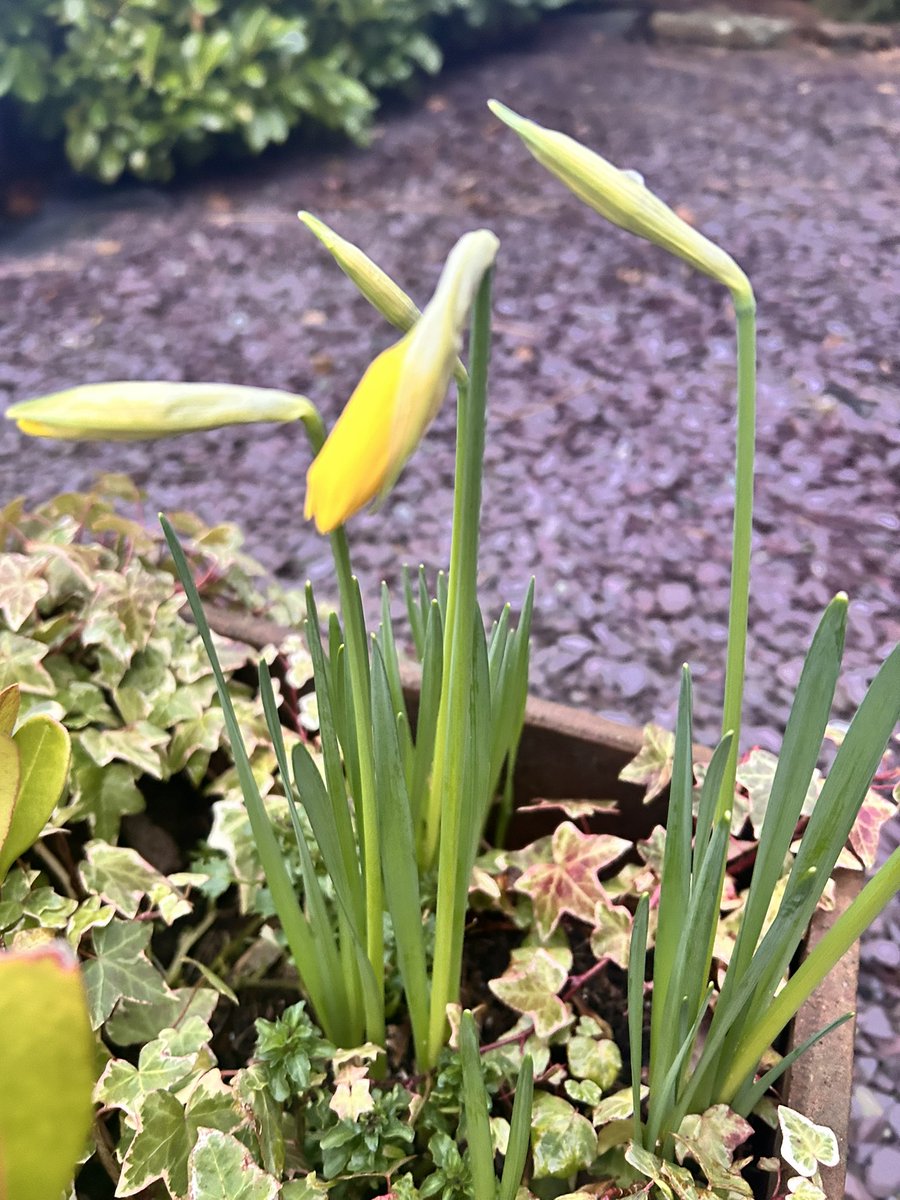Scrimgeour_l's tweet photo. Sunday morning long run . Lots of walking . Felt shattered . Busy few weeks coming up at work .Happy Sunday #feelshattered #springontheway https://t.co/zglGlfLLpk
