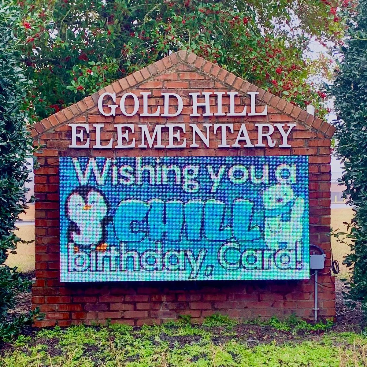 Happy birthday to Cara! 🥳 She won our Birthday Message On The LED Sign at our PTO auction back in November. We hope you have a “chill” day, Cara! 🐻‍❄️🐧🦭