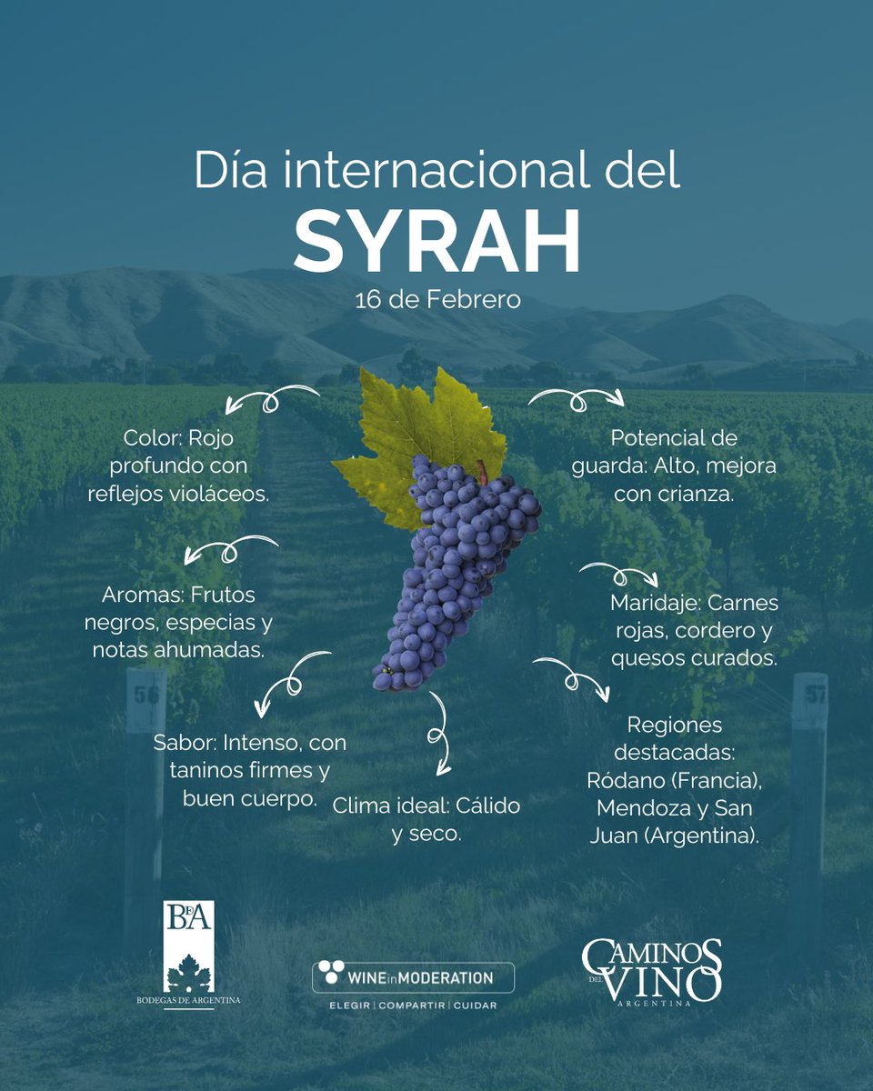 🍷 Hoy brindamos por el Syrah 🍇

El 16 de febrero es el día de esta cepa que conquista paladares en todo el mundo. Presente en las mejores regiones vitivinícolas, en Argentina ha encontrado un gran hogar.

Disfrutemos de su carácter inconfundible. ¡Salud! 🥂