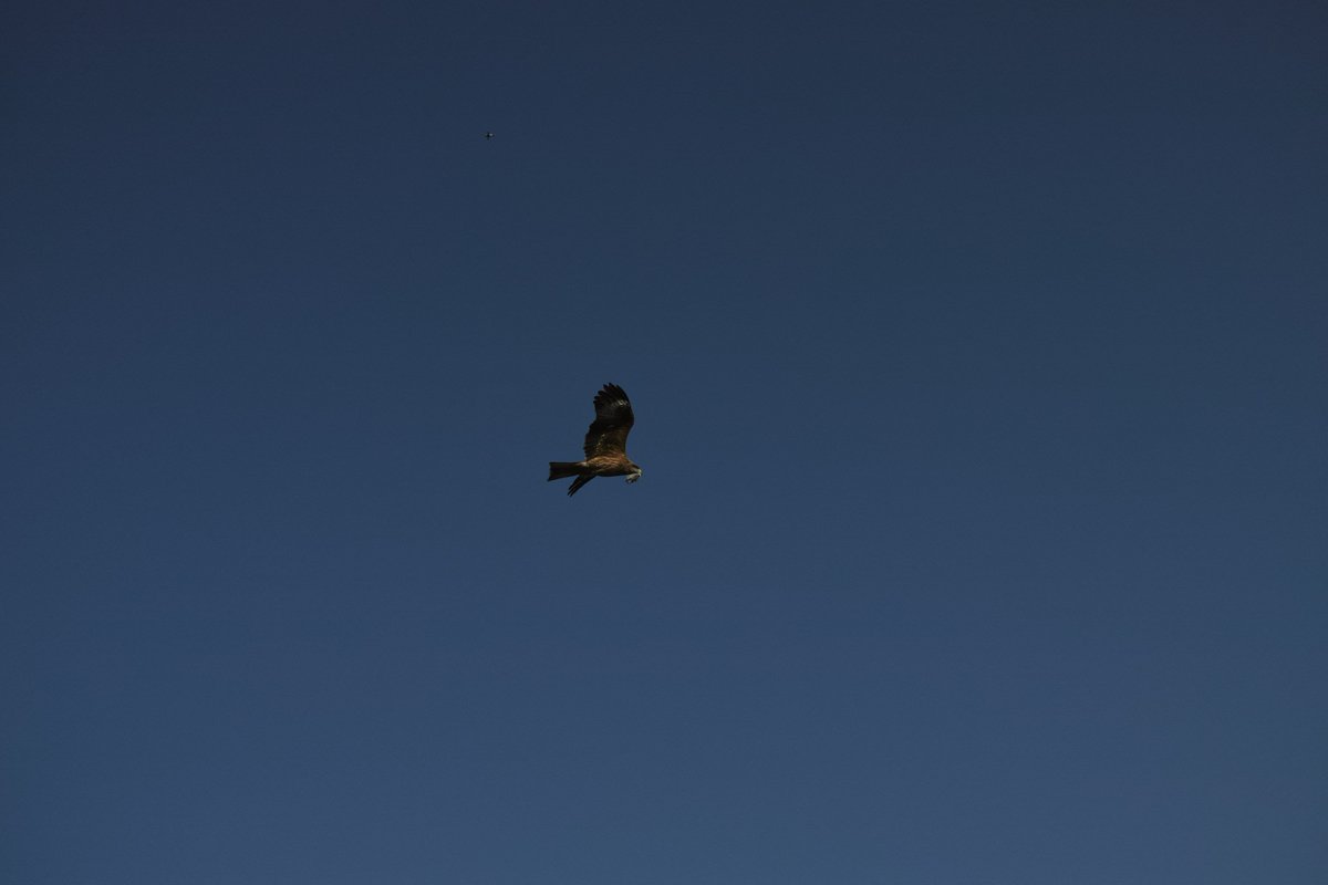 ikeSi_925's tweet image. 由比ヶ浜
#sigma #sigmadp2 #dp2 #dp2merrill #foveon