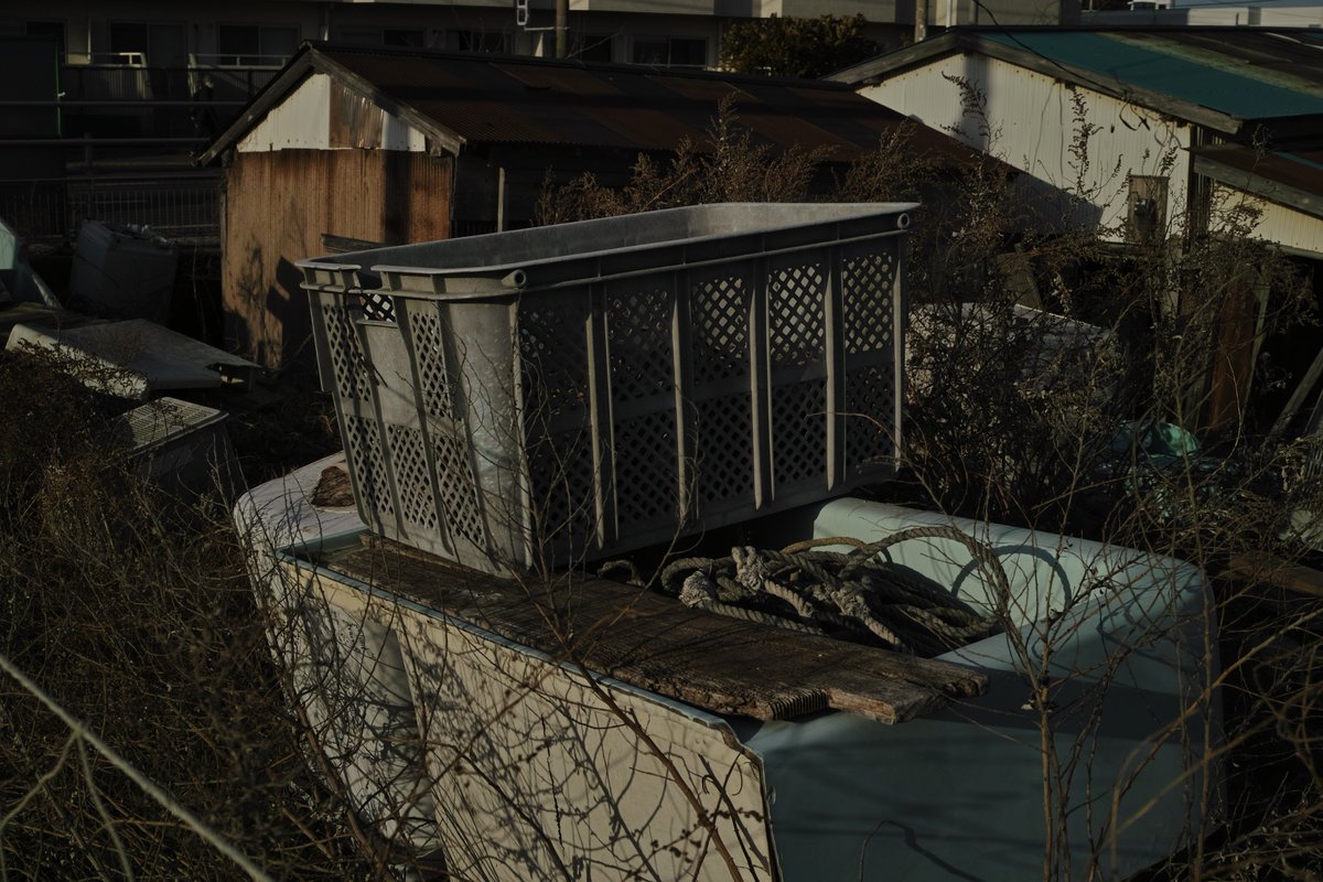 ikeSi_925's tweet image. 由比ヶ浜
#sigma #sigmadp2 #dp2 #dp2merrill #foveon