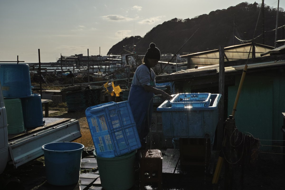 ikeSi_925's tweet image. 由比ヶ浜
#sigma #sigmadp2 #dp2 #dp2merrill #foveon