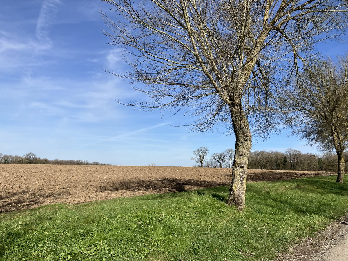 Simple bonheur! 
☀️