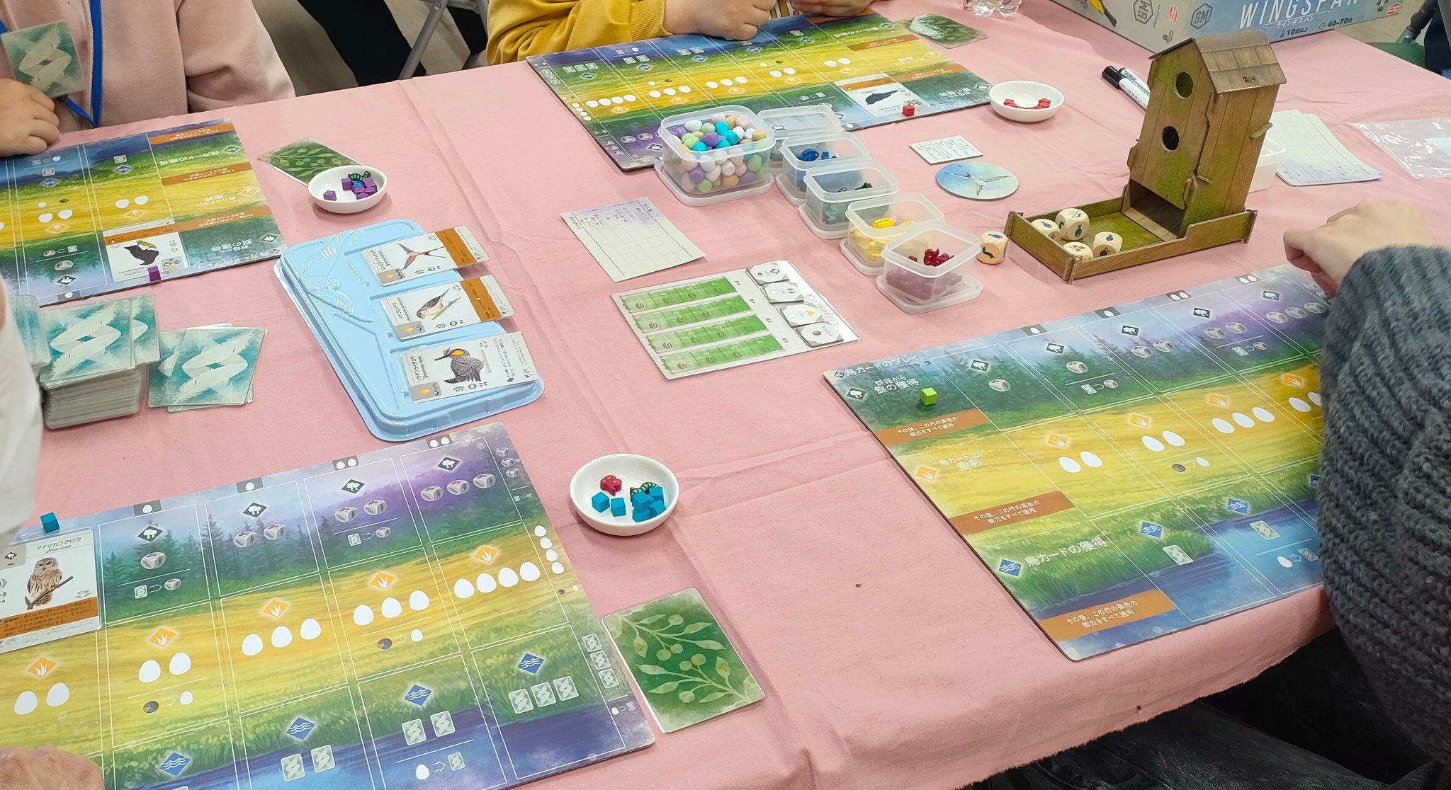 幼稚園保育所集団あそび: 集団ゲームの実践と理論 C カミイ、 R