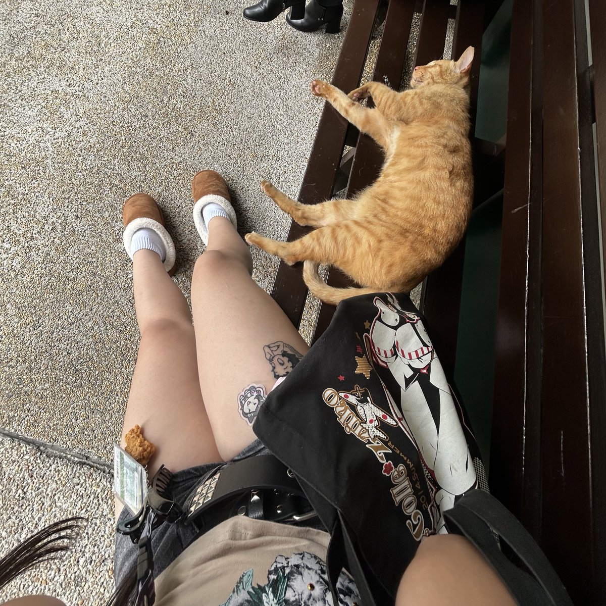 styzfiles's tweet image. 2025 so far #studytwt #archivetwt