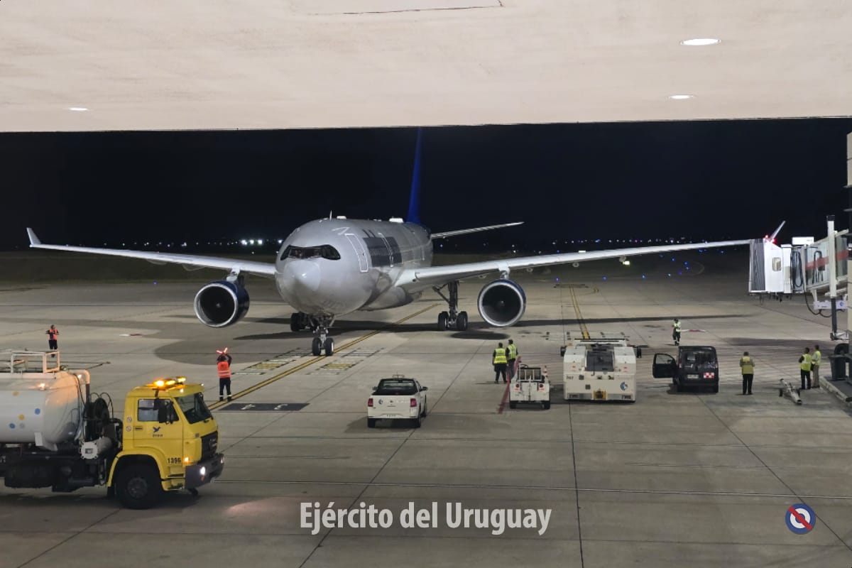 [Imagen: Gj5CcwYXIAAIWVV?format=jpg&name=medium]