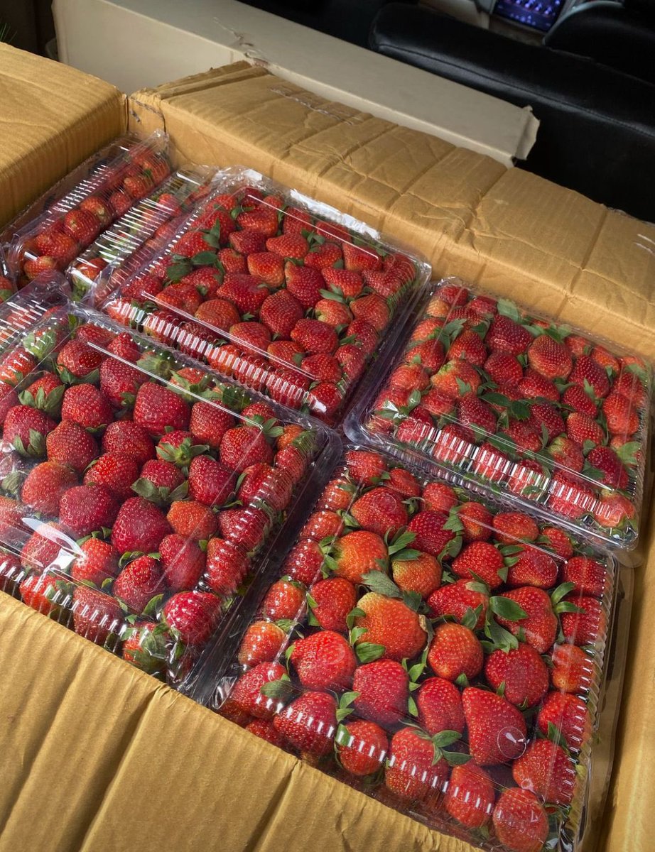 sugaaasugarr's tweet photo. ada yg mau strawberry 1kg harga 35k? bisa gosend ya https://t.co/cSprlhCJuR